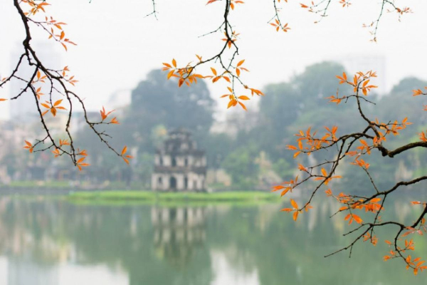 11D10N Vietnam Tour - photo 42